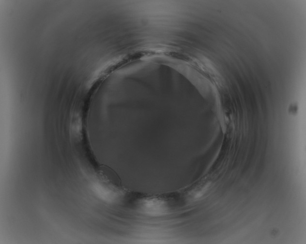 X0000092290500200709281309