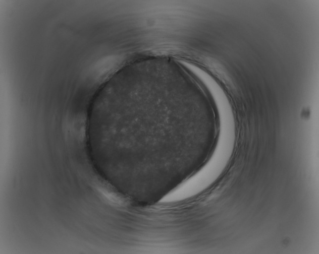 X0000092290501200709281309