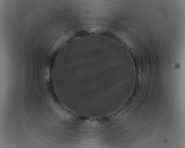 X0000092290502200709281309