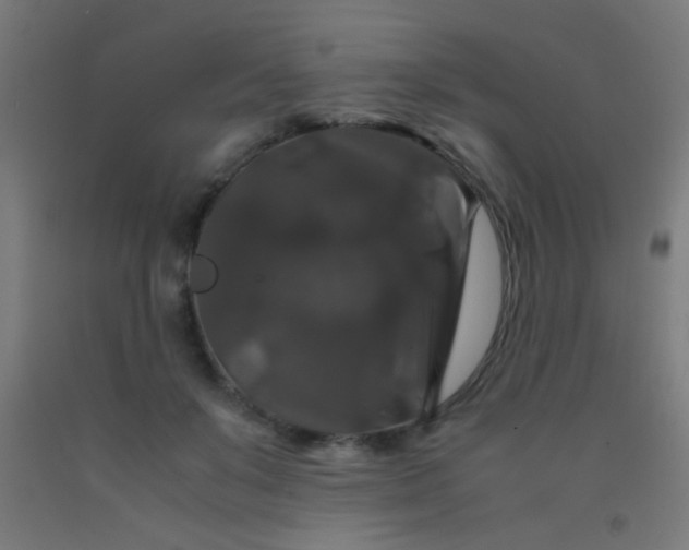 X0000092290503200709281309