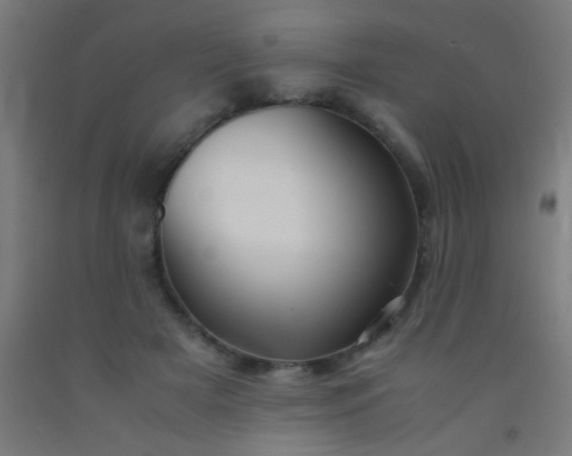 X0000092290505200709281309