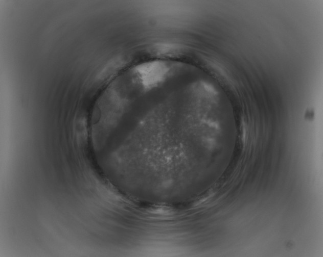 X0000092290506200709281309