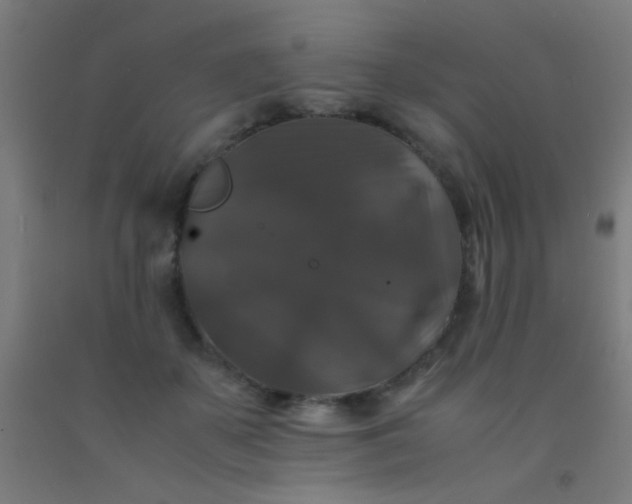 X0000092290507200709281309