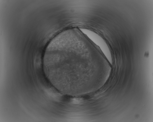 X0000092290508200709281309