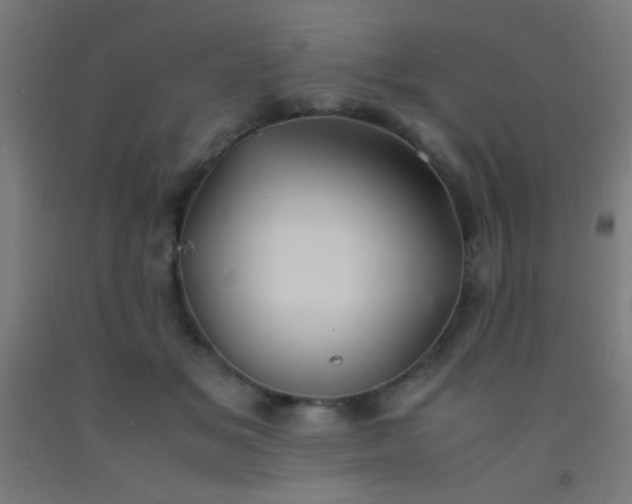 X0000092290509200709281309