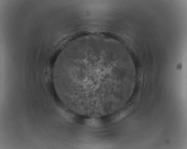 X0000092290511200709281308