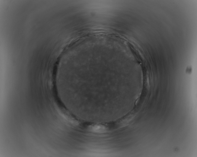 X0000092290512200709281308