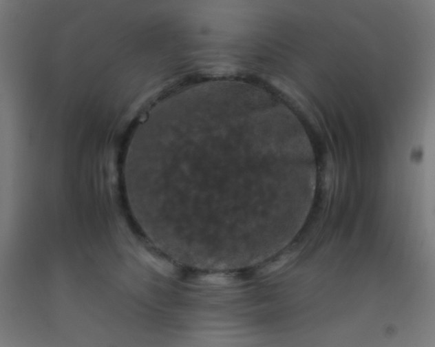 X0000092290516200709281308