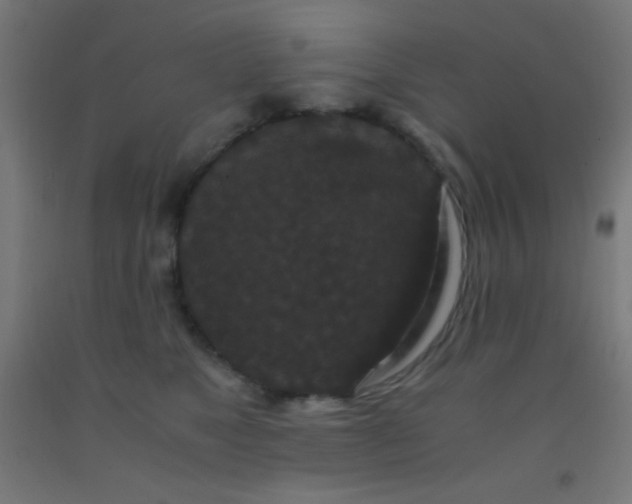 X0000092290517200709281308