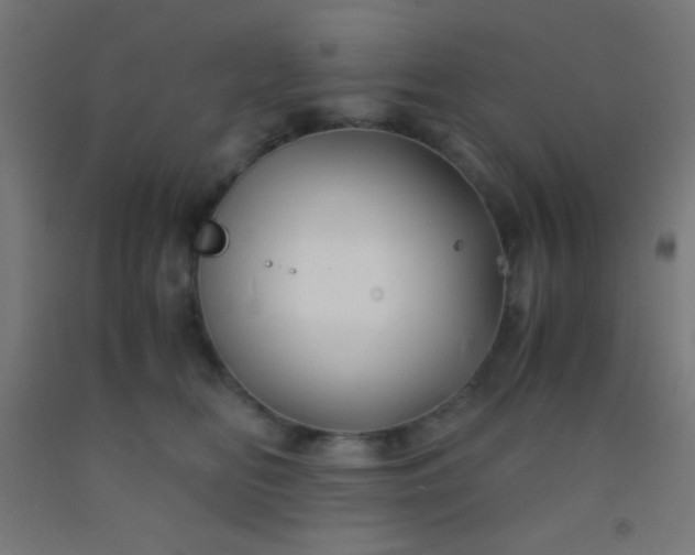 X0000092290518200709281308