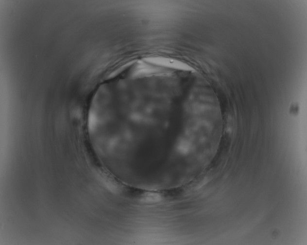 X0000092290519200709281308