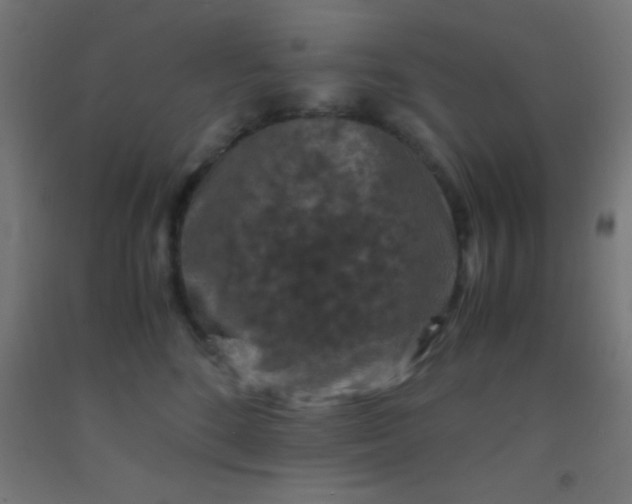 X0000092290520200709281308