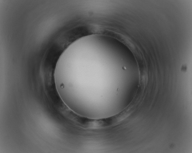 X0000092290525200709281308