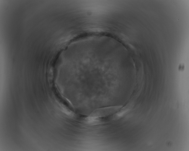 X0000092290528200709281308