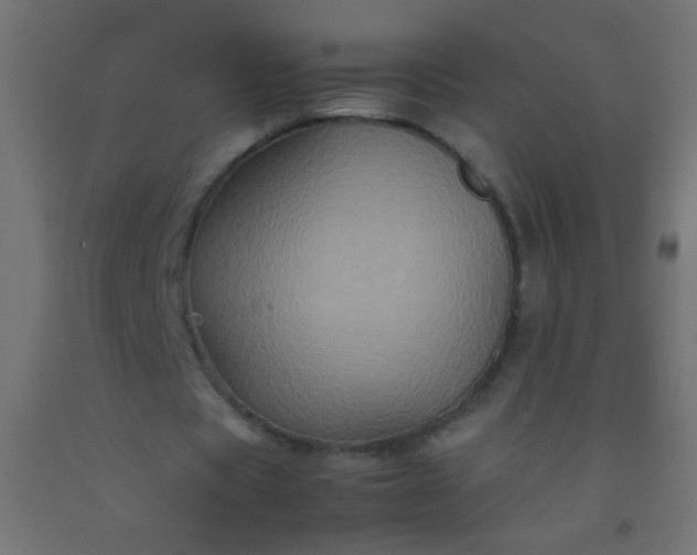 X0000092290529200709281308