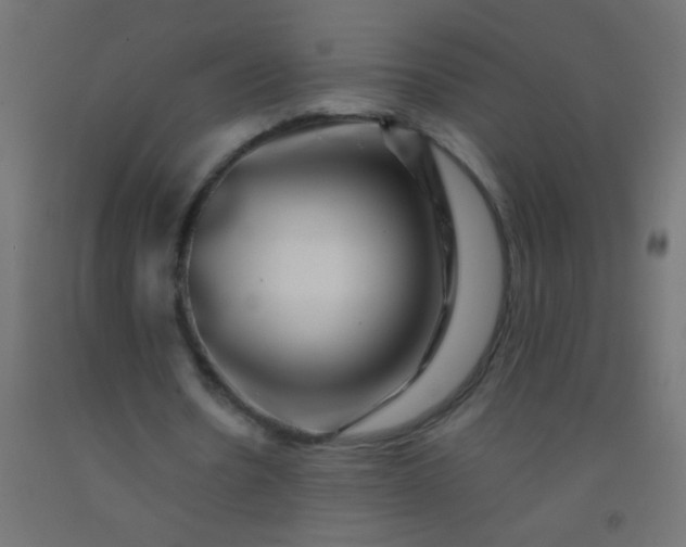 X0000092290530200709281308