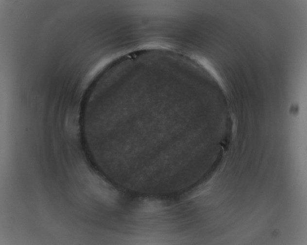 X0000092290531200709281308