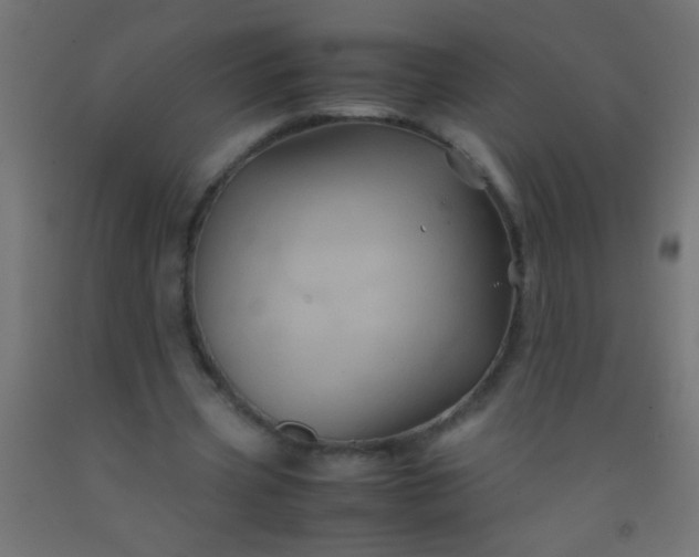 X0000092290533200709281308