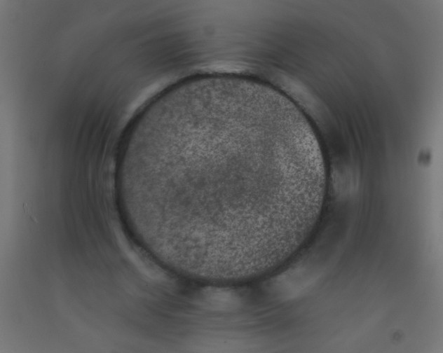 X0000092290534200709281308