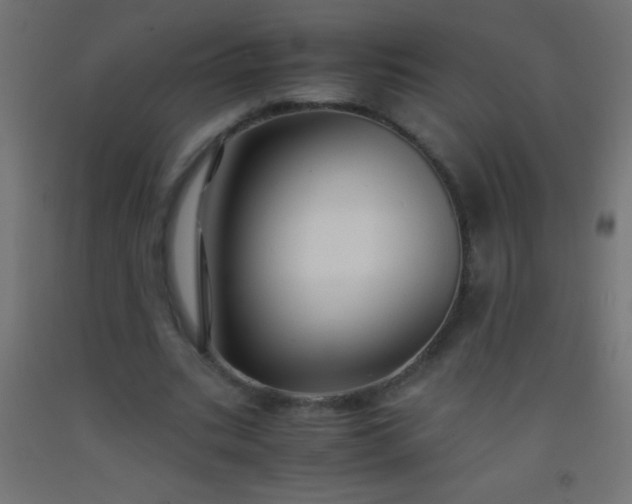 X0000092290535200709281308