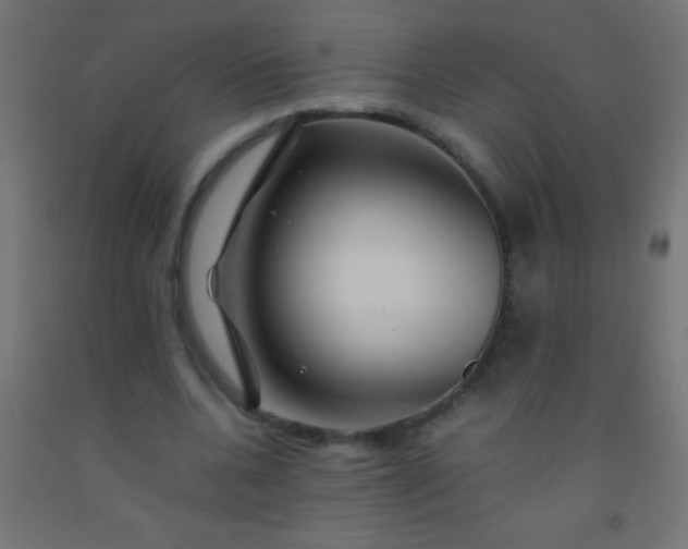 X0000092290536200709281308