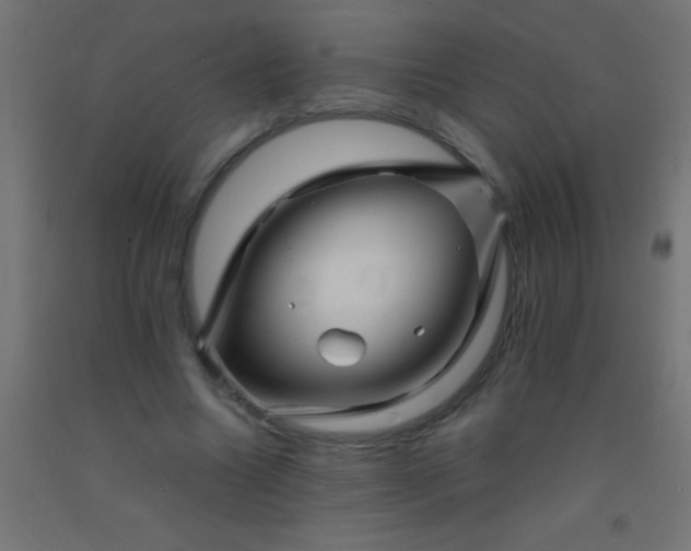 X0000092290538200709281308