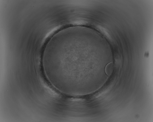 X0000092290539200709281308