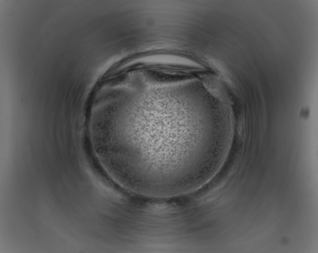 X0000092290540200709281308