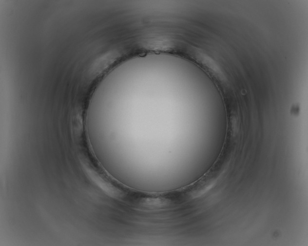 X0000092290541200709281308