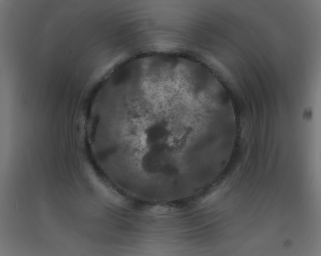 X0000092290542200709281308