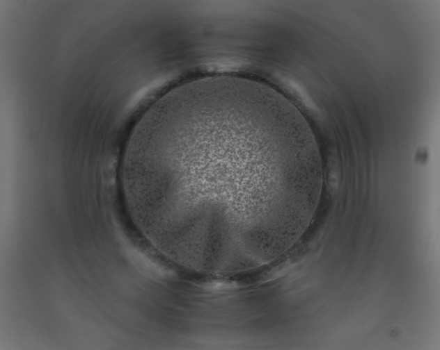 X0000092290543200709281308