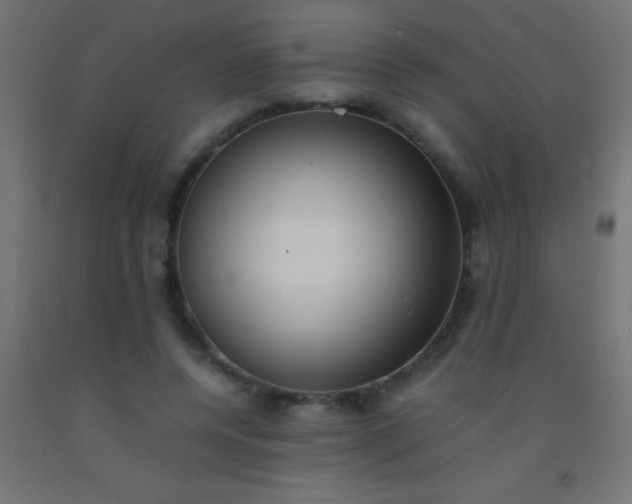 X0000092290544200709281308