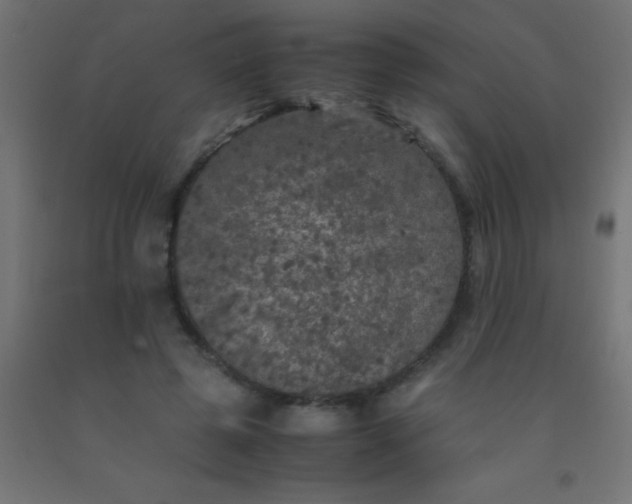 X0000092290545200709281308