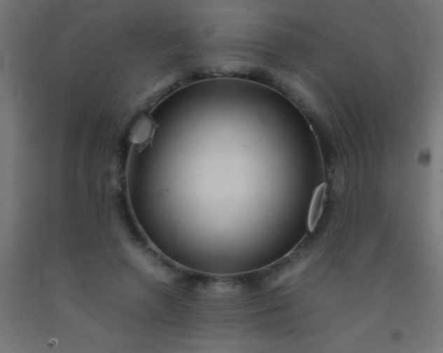 X0000092290546200709281308