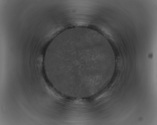 X0000092290550200709281308