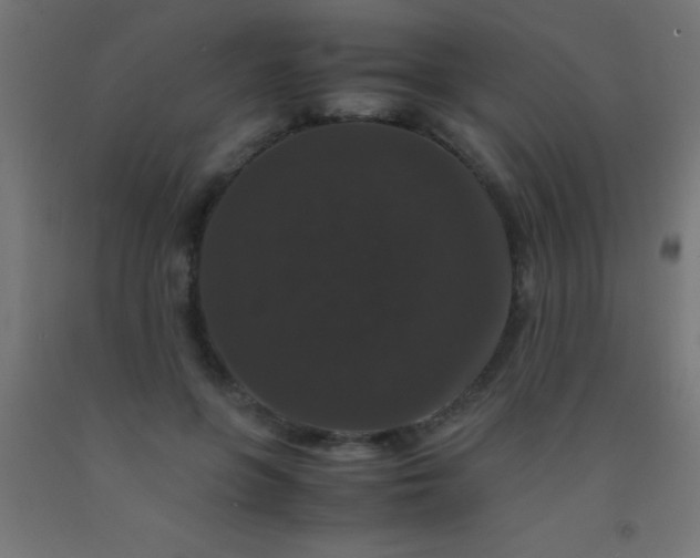 X0000092290551200709281308