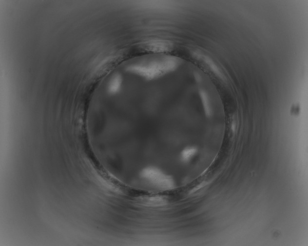 X0000092290553200709281308