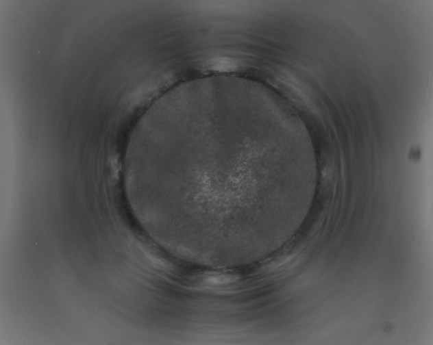 X0000092290555200709281308