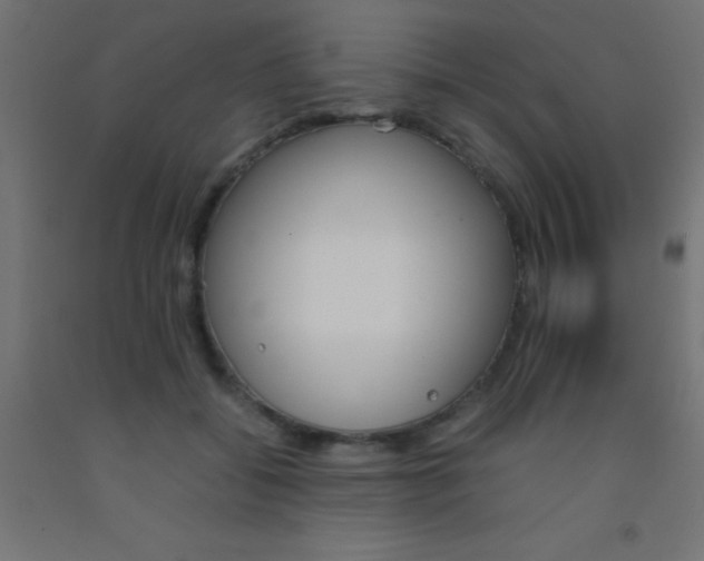 X0000092290556200709281308