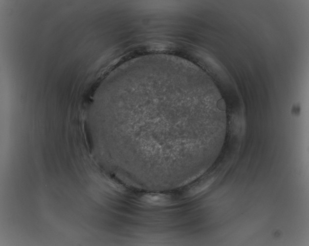 X0000092290557200709281308