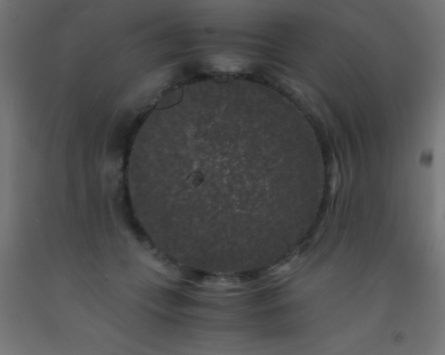 X0000092290559200709281308