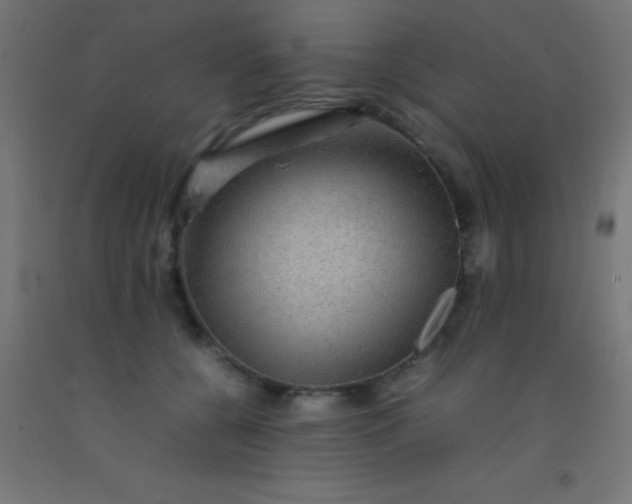 X0000092290560200709281308