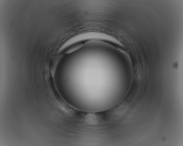 X0000092290562200709281308