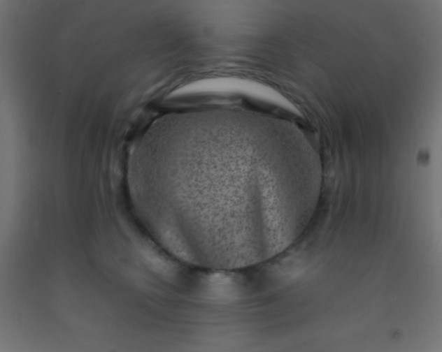 X0000092290566200709281308