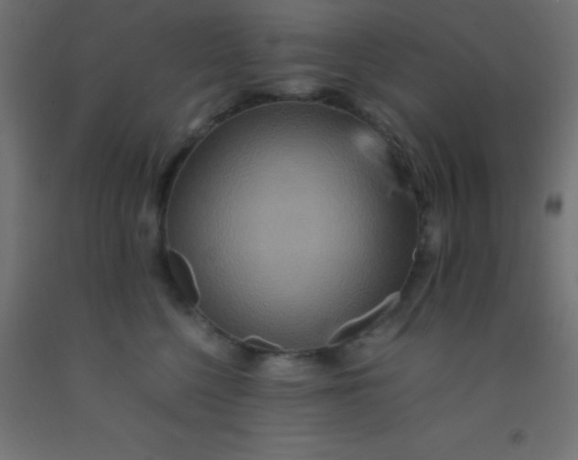 X0000092290568200709281308