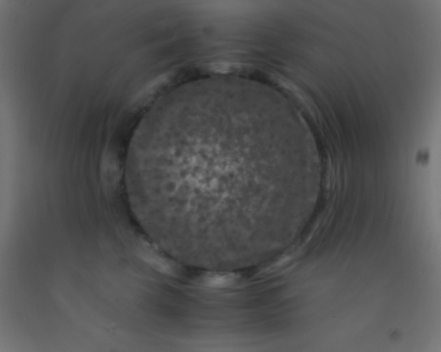 X0000092290569200709281308