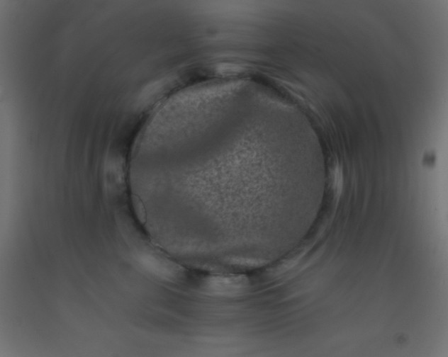 X0000092290571200709281308