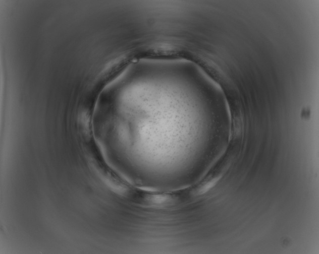 X0000092290575200709281308