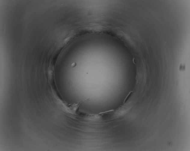 X0000092290576200709281308