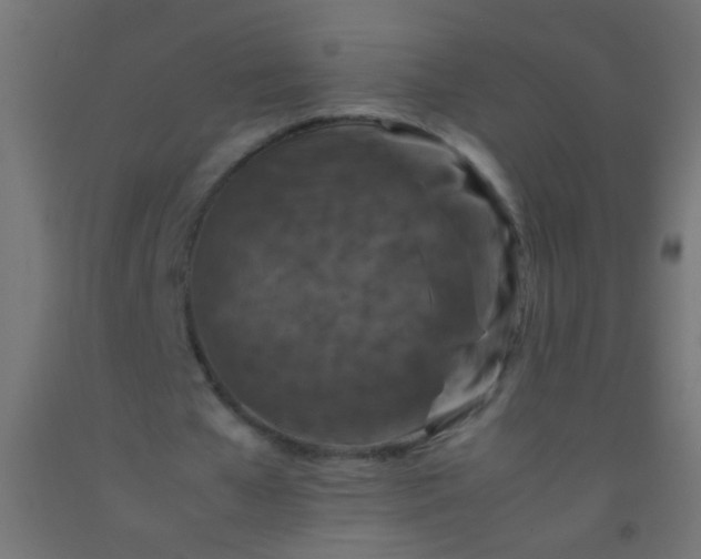 X0000092290577200709281308